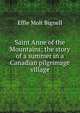 Saint Anne of the Mountains; the story of a summer in a Canadian pilgrimage village, Effie Molt Bignell 