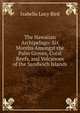 The Hawaiian Archipelago: Six Months Amongst the Palm Groves, Coral Reefs, and Volcanoes of the Sandwich Islands, Isabella Lucy Bird 