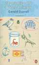 My Family and Other Animals (Ned), Gerald Durrell, Джеральд Даррелл 