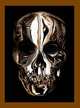 Alexander McQueen. Savage Beauty (Metropolitan Museum of Art), Susannah Frankel, Andrew Bolton 