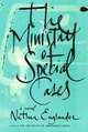The Ministry of Special Cases, Englander, Nathan 