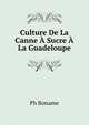 Culture De La Canne A Sucre A La Guadeloupe, Ph. Boname 
