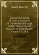 Wonderful works of God: a narrative of the wonderful facts in the case of Ansel Bourne, of West Shelby, Orleans Co., N.Y. ., Ansel Bourne 