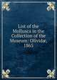 List of the Mollusca in the Collection of the Museum: Olivid?, 1865, 