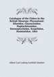 Catalogue of the Fishes in the British Museum: Physostomi: Siluridoe, Characinidoe, Haplochitonidoe, Sternoptychidoe, Scopelidoe, Stomiatidoe. 1864, Albert Carl Ludwig Gotthilf Gunther 