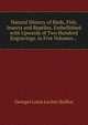 Natural History of Birds, Fish, Insects and Reptiles. Embellished with Upwards of Two Hundred Engravings. in Five Volumes. . ., Georges Louis Leclerc Buffon 