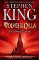Dark Tower V: Wolves of the Calla, Stephen King 