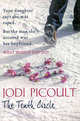 The Tenth Circle, Джоди Пиколт, Jodi Picoult 