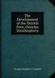 The Development of the Ostrich Fern, Onoclea Struthiopteris, Douglas Houghton Campbell 