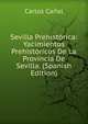 Sevilla Prehistorica: Yacimientos Prehistoricos De La Provincia De Sevilla. (Spanish Edition), Carlos Canal 