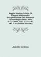 Saggio Storico-Critico Di Esegesi Biblicasulla Interpetrazione Del Sermone Eschatologico Matt. Xxiv, 3-51 - Marc. Xiii, 3-37 - Luc. XXI 5-36 (Italian Edition), Adolfo Cellini 