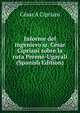 Informe del ingeniero sr. Cesar Cipriani sobre la ruta Perene-Ugayali (Spanish Edition), Cesar A Cipriani 