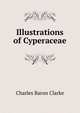 Illustrations of Cyperaceae, Charles Baron Clarke 