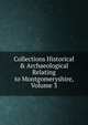 Collections Historical & Archaeological Relating to Montgomeryshire, Volume 3, 