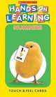 Touch & Feel Flash Cards: Numbers, 
