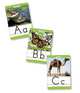 Animals From A to Z Alphabet Set: Manuscript: 26 Ready-to-Display Letter Cards With Fabulous Photos of Animals, Grades K-3, 