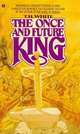 Once and Future King (Arthurian legend), White, Terence Hanbury 
