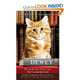 Dewey: Small-Town Library Cat (int. bestseller), Myron, Vicky 