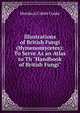 Illustrations of British Fungi (Hymenomycetes): To Serve As an Atlas to Th "Handbook of British Fungi"., Mordecai Cubitt Cooke 