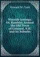 Wayside Jottings; Or, Rambles Around the Old Town of Concord, N.H. and Its Suburbs, Howard M. Cook 