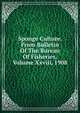 Sponge Culture. From Bulletin Of The Bureau Of Fisheries, Volume Xxviii, 1908, 