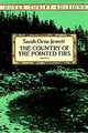 The Country of the Pointed Firs, Sarah Orne Jewett 