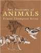 Art Anatomy of Animals, Ernest Thompson Seton 