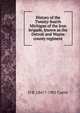 History of the Twenty-fourth Michigan of the Iron brigade, known as the Detroit and Wayne county regiment, O B. 1841?-1901 Curtis 