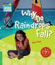 Why Do Raindrops Fall? Level 3. Factbook, Peter Rees 