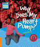 Why Does My Heart Pump? Level 6. Factbook, Helen Bethune 