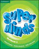Super Minds Level 2. Workbook, Herbert Puchta, Gunter Gerngross, Peter Lewis-Jones 