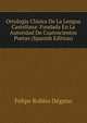 Ortologia Clasica De La Lengua Castellana: Fundada En La Autoridad De Cuatrocientos Poetas (Spanish Edition), Felipe Robles Degano 