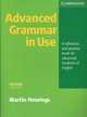 Advanced Grammar in Use. Second edition. Without answers. A reference and practice book for advanced students of English, Martin Hewings 