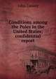Conditions among the Poles in the United States; confidential report, Неизвестный автор 