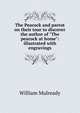 The Peacock and parrot on their tour to discover the author of "The peacock at home": illustrated with engravings, William Mulready 