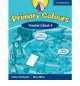 Primary Colours Level 4. Teacher's Book, Andrew Littlejohn, Diana Hicks 