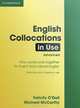 English Collocations in Use Advanced. Self-study and classroom use, Felicity O