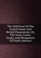 The Wild Fowl Of The United States And British Possessions; Or, The Swan, Geese, Ducks, And Mergansers Of North America, 