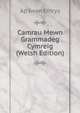 Camrau Mewn Grammadeg Cymreig (Welsh Edition), Ap Iwan Emrys 