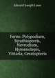 Ferns: Polypodium, Struthiopteris, Nevrodium, Hymenolepis, Vittaria, Ceratopteris, Edward Joseph Lowe 
