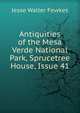 Antiquities of the Mesa Verde National Park, Sprucetree House, Issue 41, Fewkes Jesse Walter 