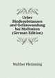 Ueber Bindesubstanzen und Gefasswandung bei Mollusken (German Edition), Walther Flemming 