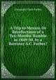 A Trip to Mexico, Or Recollections of a Ten-Months' Ramble in 1849-50, by a Barrister A.C. Forbes?., Alexander Clark Forbes 
