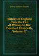 History of England from the Fall of Wolsey to the Death of Elizabeth, Volume 12, Froude James Anthony 