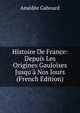 Histoire De France: Depuis Les Origines Gauloises Jusqu'? Nos Jours (French Edition), Amedee Gabourd 