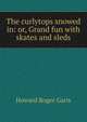 The curlytops snowed in: or, Grand fun with skates and sleds, Howard Roger Garis 