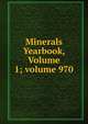 Minerals Yearbook, Volume 1; volume 970, 