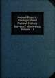 Annual Report - Geological and Natural History Survey of Minnesota, Volume 11, 