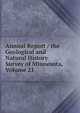 Annual Report / the Geological and Natural History Survey of Minnesota, Volume 21, 