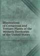 Illustrations of Cretaceous and Tertiary Plants of the Western Territories of the United States, 